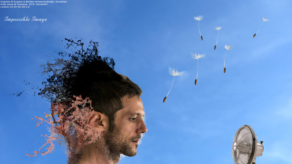 Impossible Image A022 Splash Face 