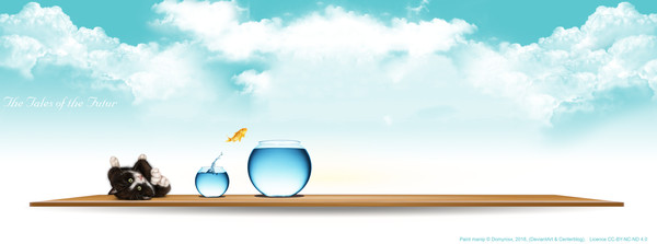 The little Rogue 2018 (3)