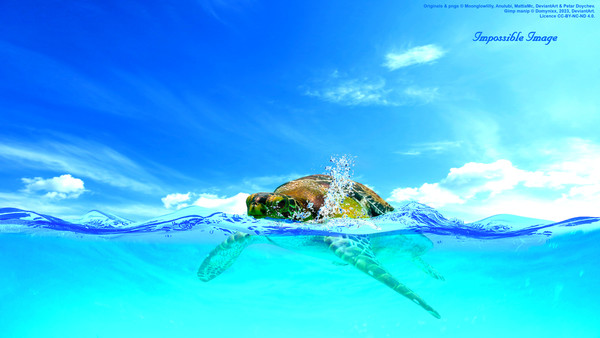 Impossible Image : ile flottante