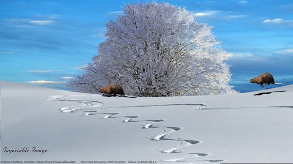 Impossible Image A019 Beaver   