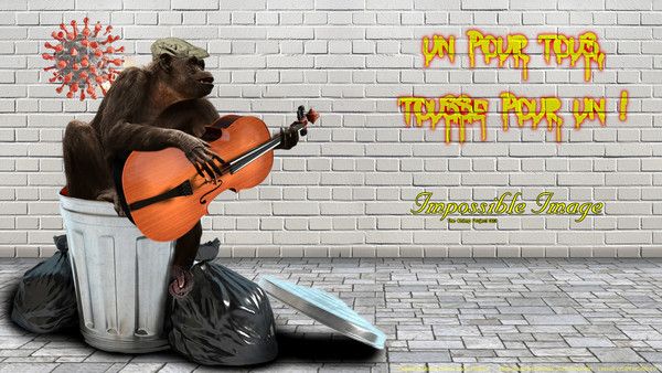 Chimp Project 002. Impossible Image.