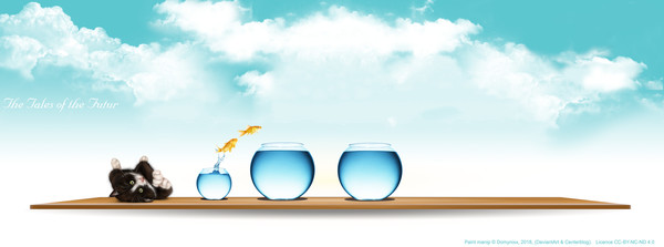 The little Rogue 2018 (5) - 20100AII