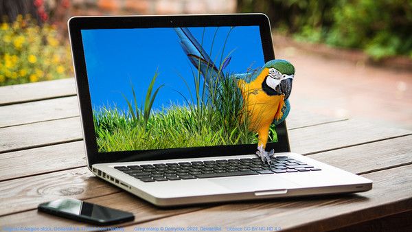 Impossible Image : Le perroquet.