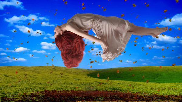 Impossible Image A024