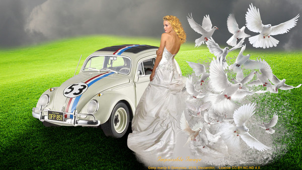 Impossible Image A021 Wedding