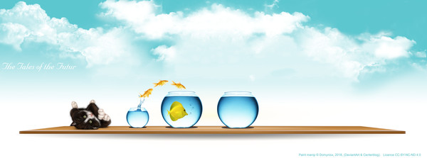 The little Rogue 2018 (7) - 20100AII